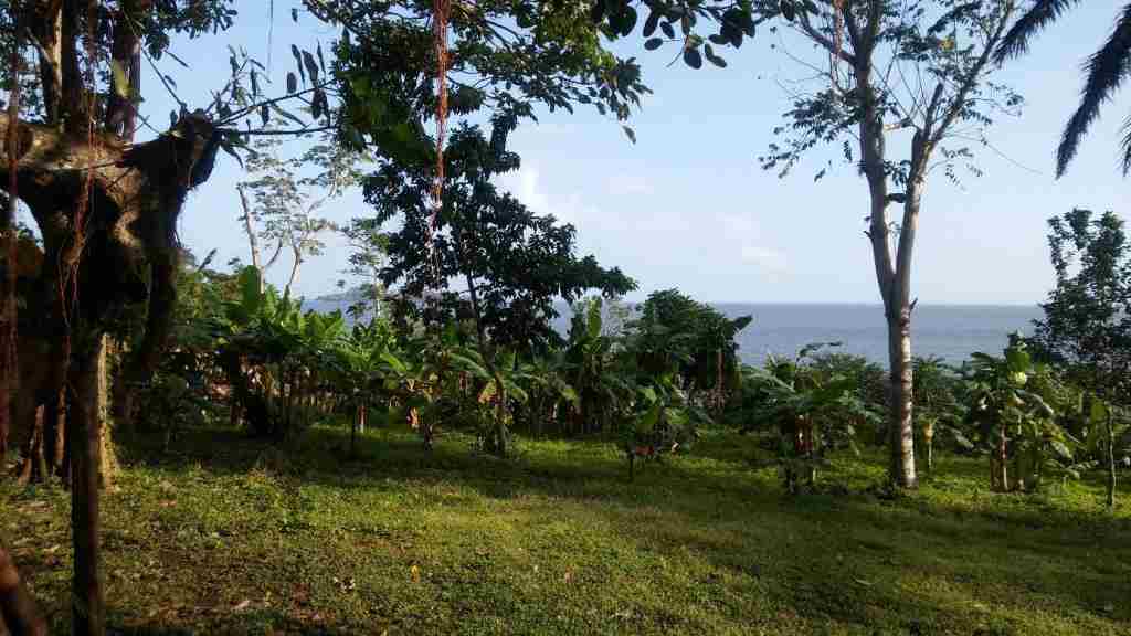 Hotél Mancarrón - Aussicht