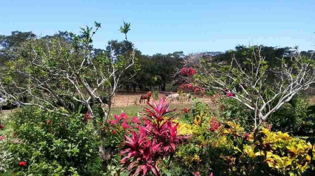 Finca Montania Sagrada