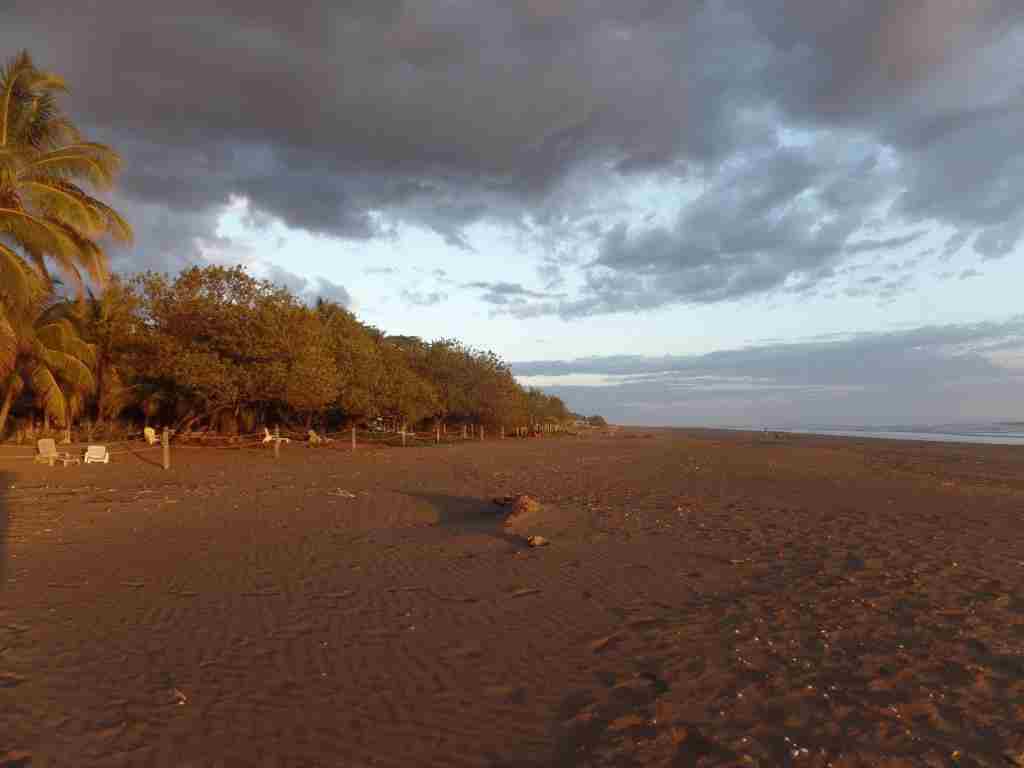 Redwood Beach Resort - Strand