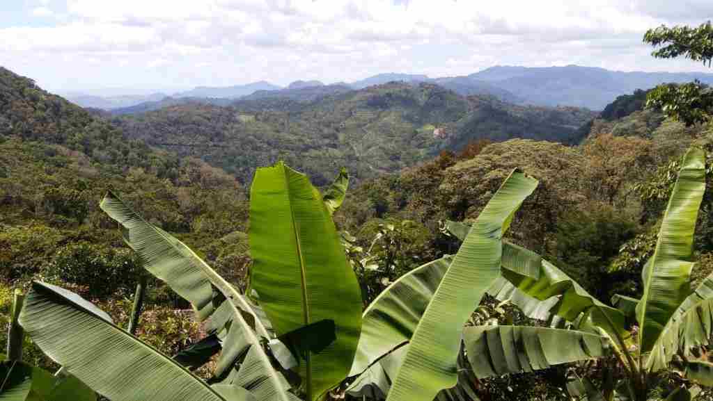 Eco Lodge Finca Esperanza Verde bei San Ramon
