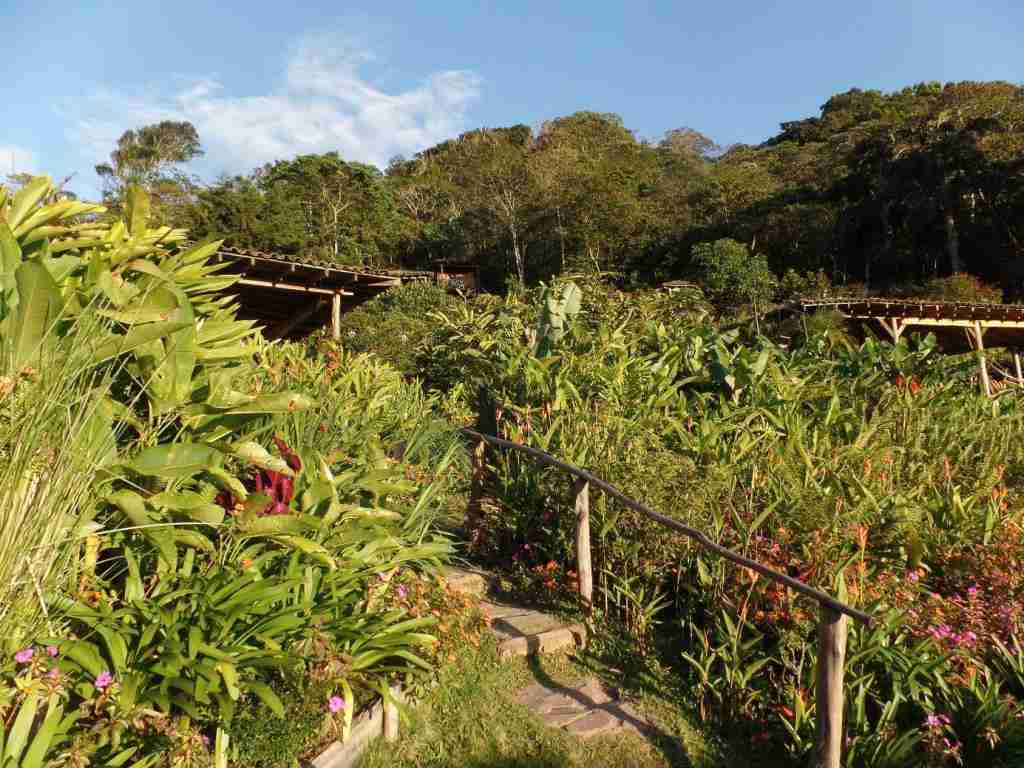 Eco Lodge Finca Esperanza Verde bei San Ramon